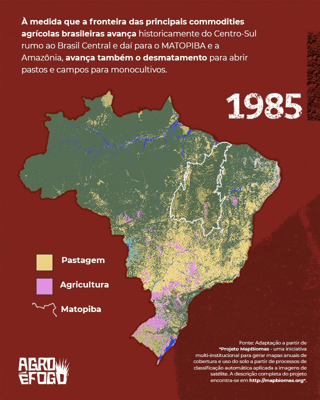 O desmatamento acompanha a expansão da fronteira agrícola