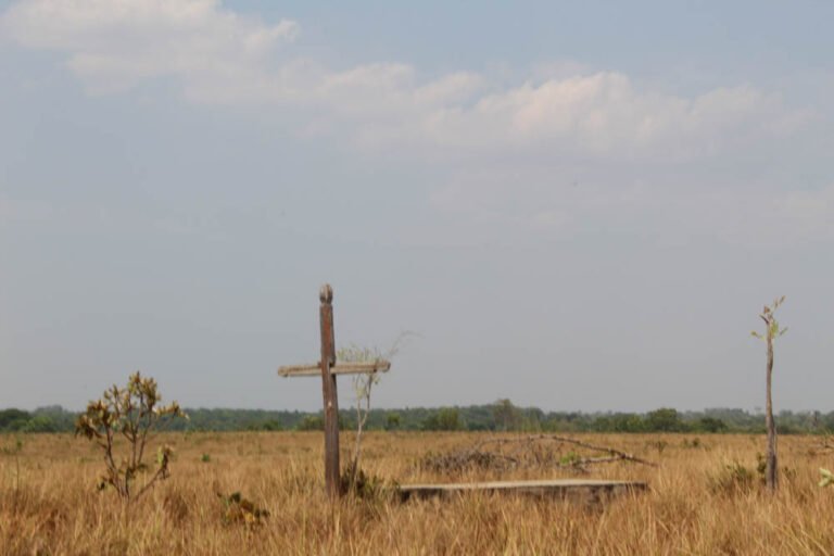 La deforestación avanza incluso sobre los cementerios de las comunidades. Crédito: Valéria Santos (2020).