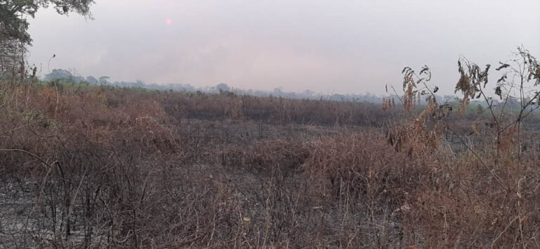 Las llamas llegan a la Tierra Indígena Baía dos Guató, en Mato Grosso, en 2020. Crédito: Pueblo Guató - Archivo ICV.