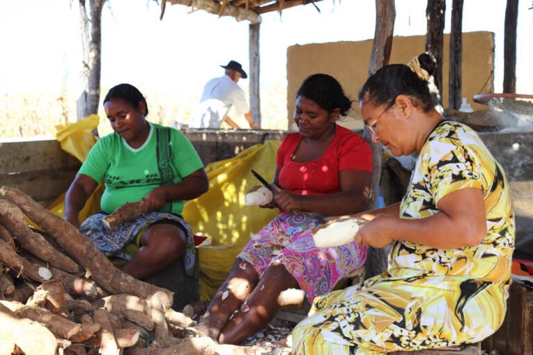 Mulheres raspando mandioca na casa de farinha em Baixões.