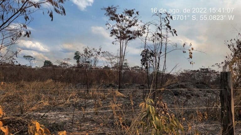 Incendios invadieron el PDS Terra Nossa dejando un rastro de destrucción. Fotos: Archivo CPT-BR 163