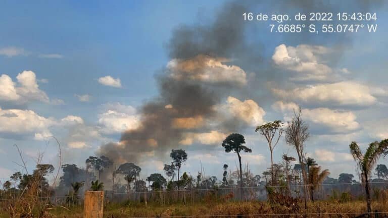Incendios dejan cicatrices en el PDS Terra Nossa. Fotos: Archivo CPT-BR 163.c