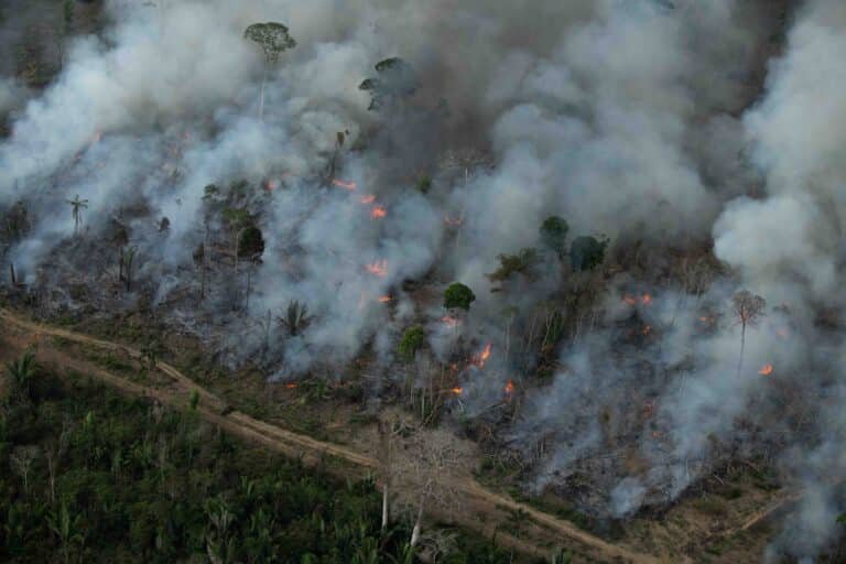 Deforestación en la Tierra Indígena Karipuna, septiembre de 2021. Foto: Christian Braga/Greenpeace.