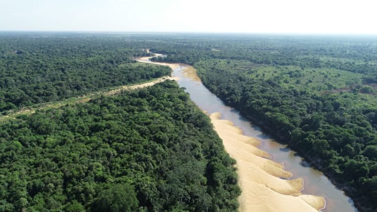 Río Formoso, municipalidad de Lagoa da Confusão, Tocantins. Foto: CIMI, 2021.